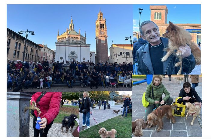 LE FOTO. Una camminata a sei zampe speciale: «Hanno vinto tutti»