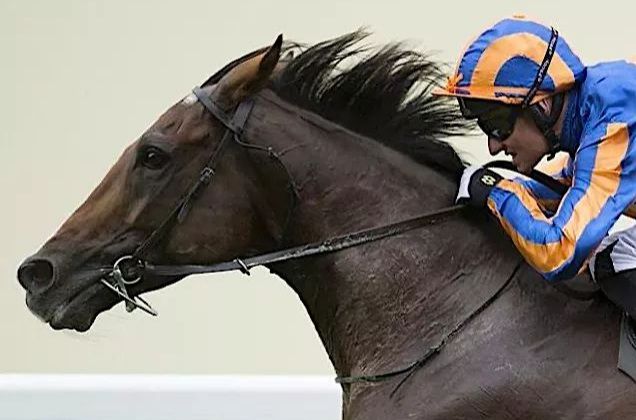 Dettori, Tomasini, Gonnelli e Grizzetti fanno le carte al clou di stasera all'ippodromo Dettori, Tomasini, Gonnelli e Grizzetti fanno le carte al clou di stasera all'ippodromo