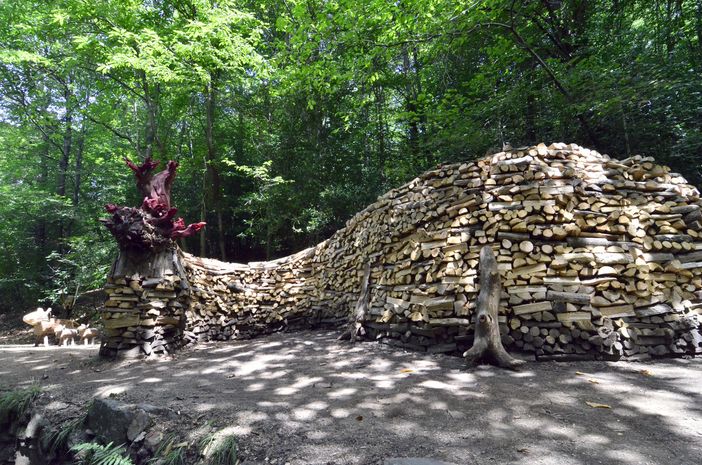 C'è un drago di 15 metri nei boschi di Boarezzo. L'ultima folle impresa dei &quot;maghi del legno&quot; della Valganna