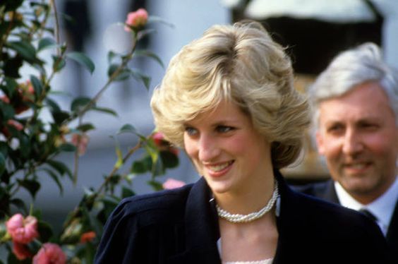 Lady Diana e sullo sfondo l'ex sindaco di Laveno Ercole Ielmini (foto concessa da Ielmini) Lady Diana e sullo sfondo l'ex sindaco di Laveno Ercole Ielmini (foto concessa da Ielmini)