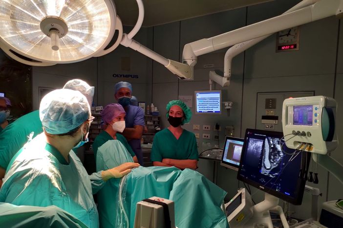 Introdotta nell'Urologia varesina la terapia focale: massima precisione nel trattamento del tumore alla prostata