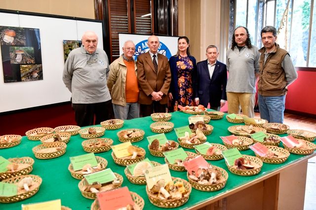 L'associazione Antares e i funghi: conoscenza e condivisione