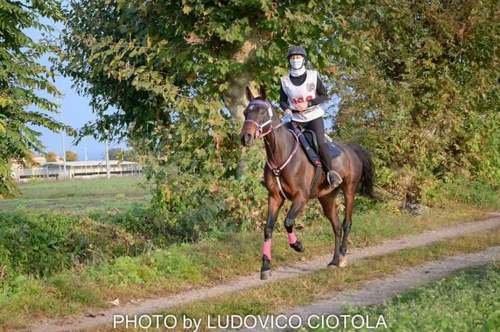 La campionessa di endurance Letizia Milani fa volare Busto negli Emirati Arabi La campionessa di endurance Letizia Milani fa volare Busto negli Emirati Arabi