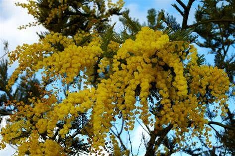 GLI APPUNTAMENTI. Weekend tutto femminile tra musica, corsa e fotografia