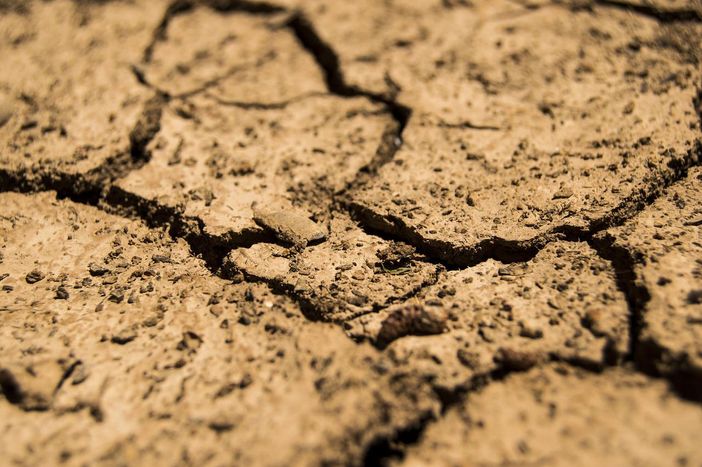 Varese, la siccità nei campi: fieno in calo del 40%, meno latte in stalla. In sofferenza anche il mais