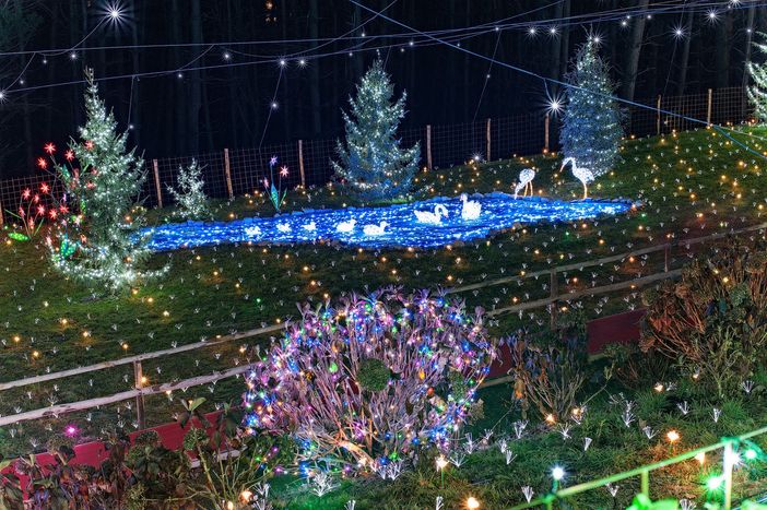 Un antipasto di foto delle passate edizioni delle lucine di Natale di Leggiuno in attesa dell'accensione del 3 dicembre