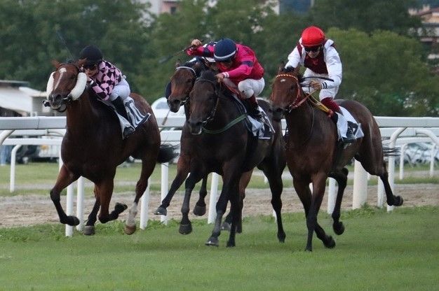 L’arrivo dell’ultima corsa di Funny Version, in giubba fucsia a centro gruppo (Foto Luca Leone) L’arrivo dell’ultima corsa di Funny Version, in giubba fucsia a centro gruppo (Foto Luca Leone)