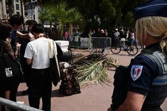 Cannes, palma travolge spettatore del festival sulla Croisette: l'uomo è in gravi condizioni Cannes, palma travolge spettatore del festival sulla Croisette: l'uomo è in gravi condizioni
