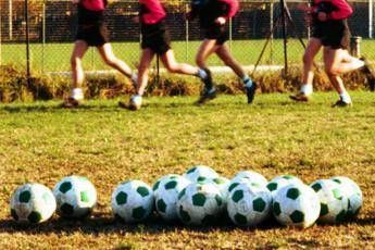 Salute, il cardiologo: "Stress da finali sportive? Nel calcio mette a rischio le coronarie" Salute, il cardiologo: "Stress da finali sportive? Nel calcio mette a rischio le coronarie"