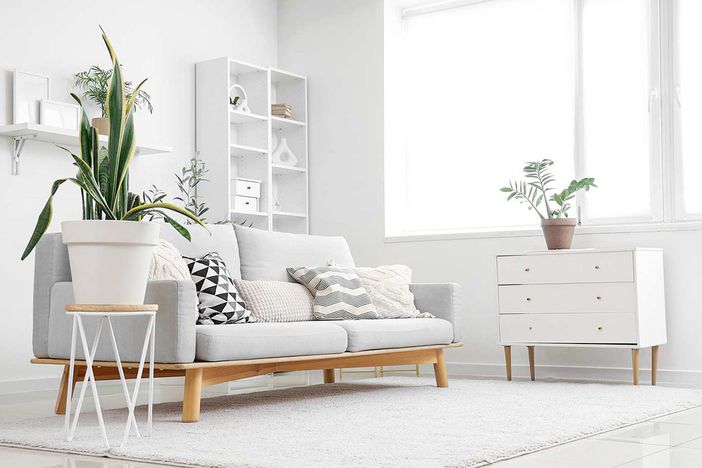 Milano che cambia: il boom delle pulizie professionali per divani e tessuti d'arredo