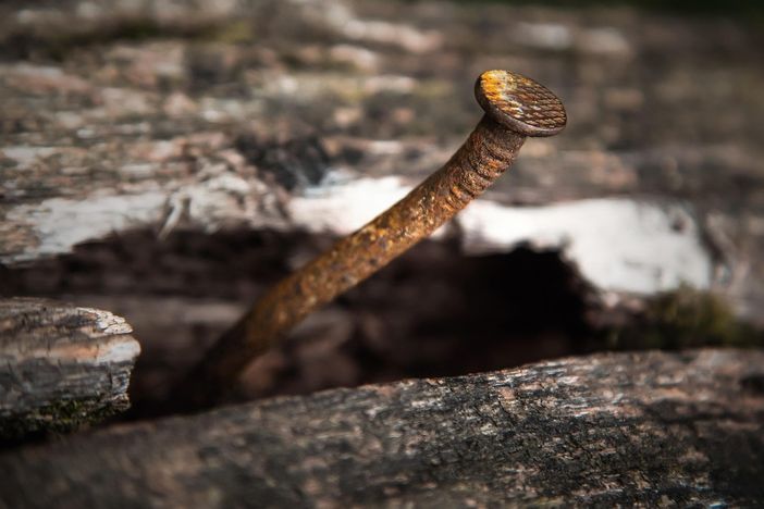 “sgrabelossi” - “graffiarsi”