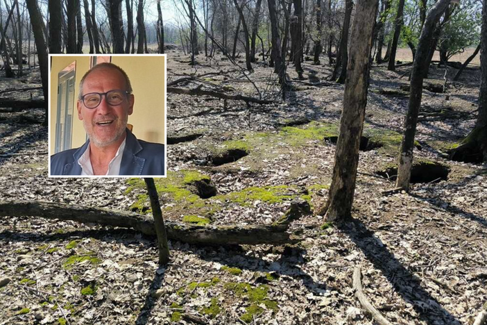 Assedio dei conigli nel Parco Alto Milanese: l’appello per un nuovo equilibrio Assedio dei conigli nel Parco Alto Milanese: l’appello per un nuovo equilibrio
