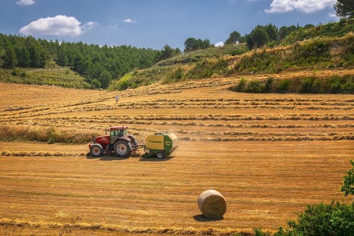I giovani agricoltori resistono al Covid