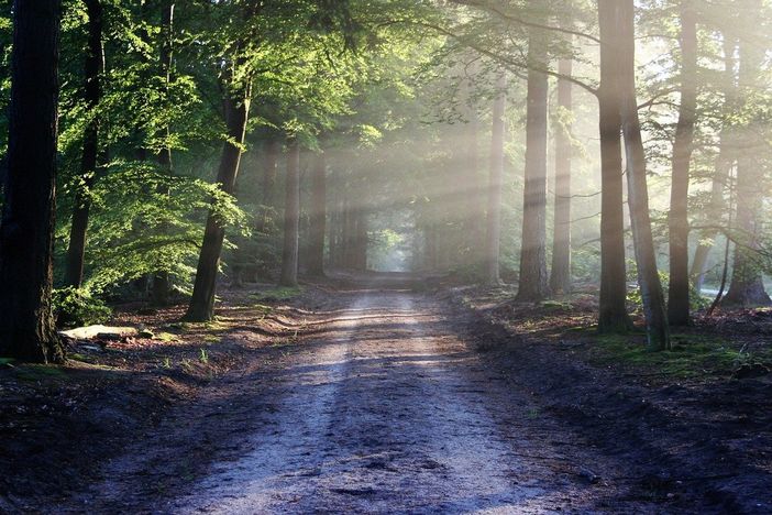 Nasce a Lonate Pozzolo l’associazione Brughiera Aps. Natura e territorio al centro