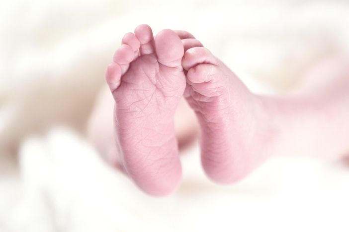 Gallarate, in commissione Welfare focus Baby Card: 109 richieste per il bonus dedicato alle famiglie