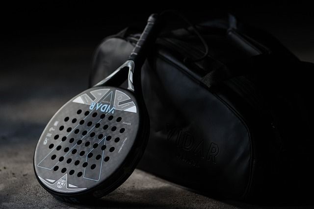 «Egregio sindaco, non mi arrampico sugli alberi ma sono contrario ai campi da padel» «Egregio sindaco, non mi arrampico sugli alberi ma sono contrario ai campi da padel»