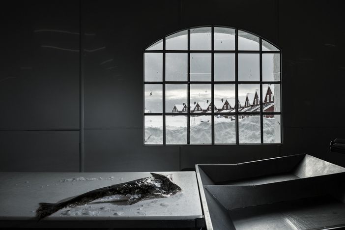 (foto di Valentina Tamborra)