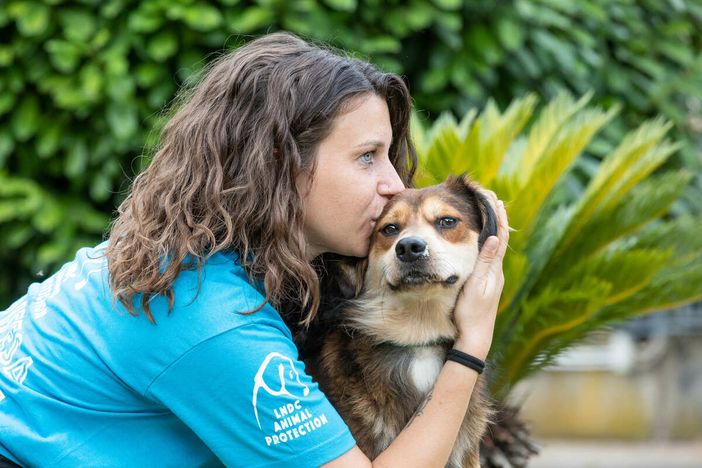 “Un inverno senza gabbie”, la campagna di LDC Animal Protection: «Aprite casa e cuore»