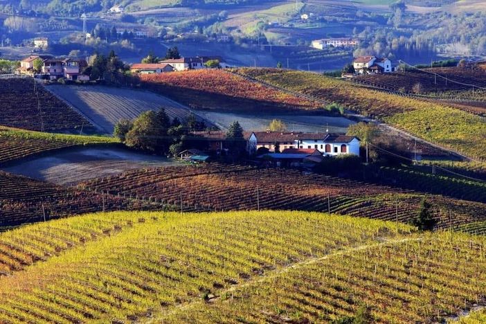 Vuoi organizzare una visita con degustazione in cantina? L’azienda agricola Ivaldi riapre le porte ai visitatori