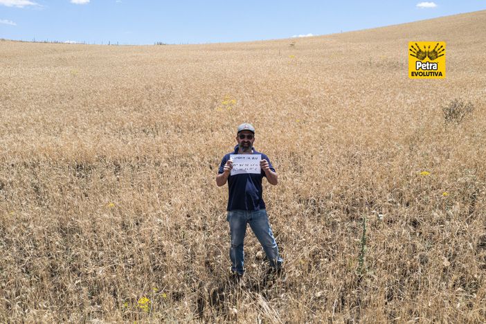 Adottare un campo di grano: “poesia di un amore” che diventa un’esperienza di umanità