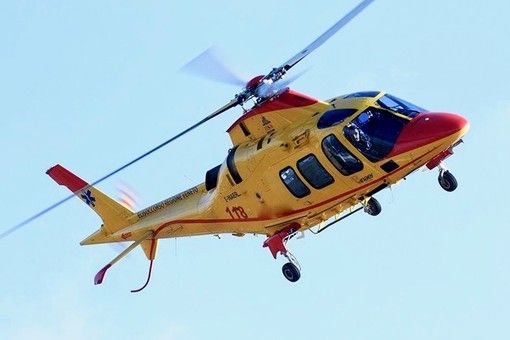 Azzannato dal pitbull di casa, muore un bimbo di 5 mesi: tragedia nel Vercellese