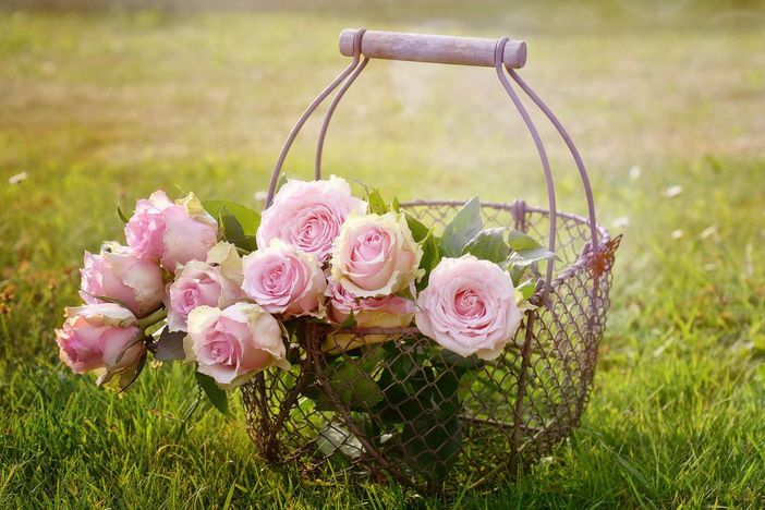 Fioriere da giardino: la guida completa all’acquisto