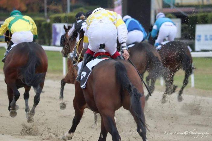 Il Premio Luciano Frattini è il clou di stasera alle Bettole: i partenti e le dritte Il Premio Luciano Frattini è il clou di stasera alle Bettole: i partenti e le dritte