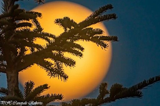 Spettacolo in cielo oggi, venerdì 12 agosto, con l’ultima Superluna dell’anno (e non solo)