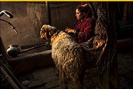 Monika Bulaj al Lux per il Festival Fotografico Europeo