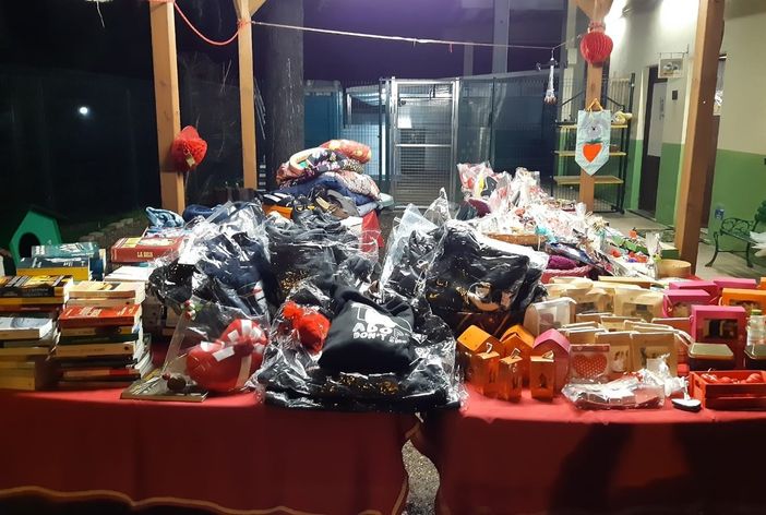 Mercatini di San Valentino al canile di Busto. Un gesto d’amore per gli amici a quattro zampe Mercatini di San Valentino al canile di Busto. Un gesto d’amore per gli amici a quattro zampe