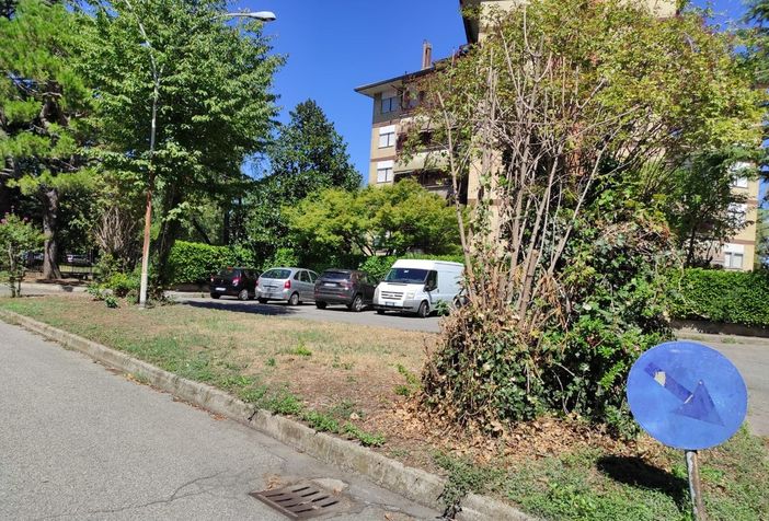 Firmato il primo patto di collaborazione per un’aiuola della biodiversità in Canazza