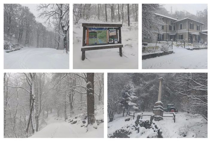 Giovedì rivedremo finalmente un paesaggio da cartolina al Campo dei Fiori? Giovedì rivedremo finalmente un paesaggio da cartolina al Campo dei Fiori?