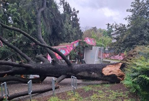 Legnano, spazi pubblici riaperti dopo le chiusure per maltempo