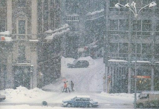 La “nevicata del secolo”, 41 anni dopo: un evento irripetibile La “nevicata del secolo”, 41 anni dopo: un evento irripetibile