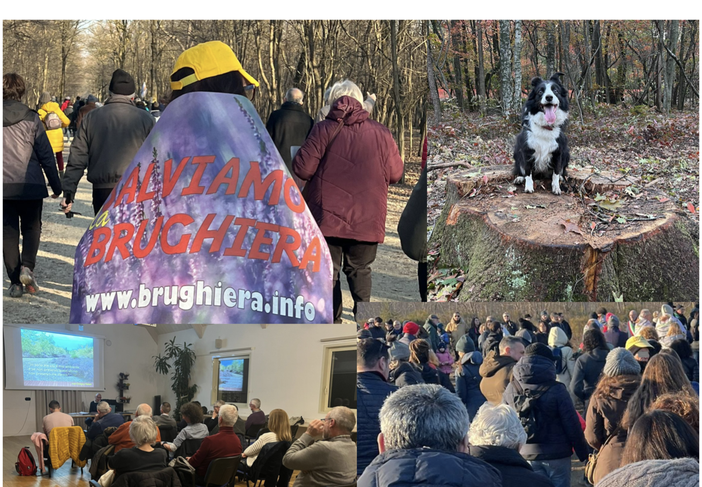 Malpensa 2035: alla ricerca di un equilibrio tra sviluppo e sostenibilità