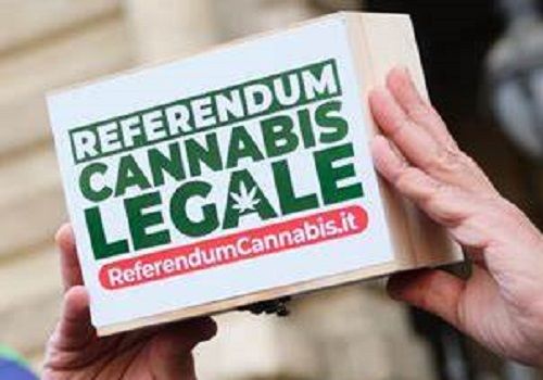 Bocciato referendum sulla cannabis, Monti (Lega): «La prevenzione rimane l’arma più efficace»