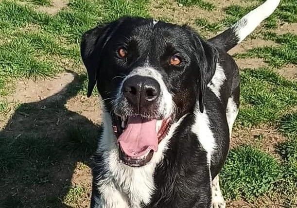 Un ospite della struttura e la locandina dell'iniziativa