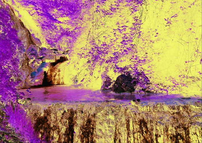 Carlsberg Italia verso l'obiettivo "zero sprechi" d'acqua entro il 2030