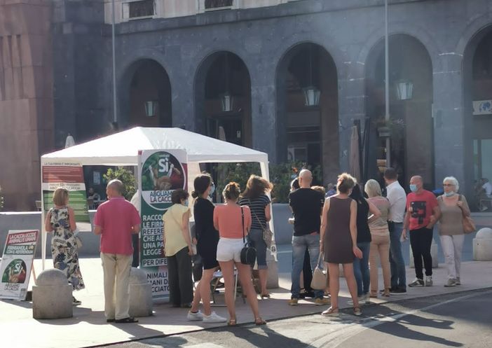 Varesini in coda per la raccolta firme sul referendum contro la caccia Varesini in coda per la raccolta firme sul referendum contro la caccia