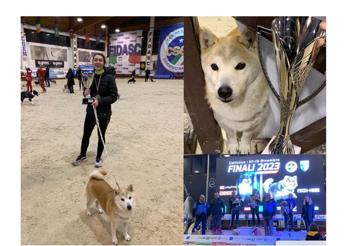 Giulia e Yumi, un legame speciale: così il titolo nazionale di agility arriva a Busto Giulia e Yumi, un legame speciale: così il titolo nazionale di agility arriva a Busto