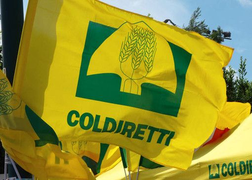 Coldiretti Varese: «Rafforzare le misure  di sostegno nei settori più in crisi»