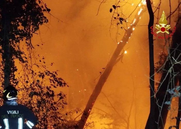 Preoccupazione per i boschi in fiamme, in due settimane 25 incendi in Lombardia Preoccupazione per i boschi in fiamme, in due settimane 25 incendi in Lombardia