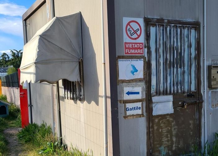 Incursione e micia uccisa. Grave episodio al gattile di Rho Incursione e micia uccisa. Grave episodio al gattile di Rho