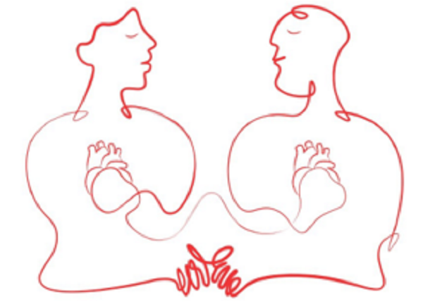 Alle Ville Ponti di Varese un convegno dedicato alla donazione degli organi