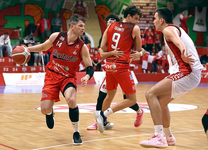 Vittoria convincente dei Knights a Piacenza Vittoria convincente dei Knights a Piacenza