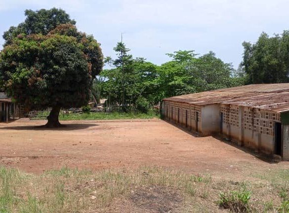 Il punto in cui dovrebbe essere scavato il pozzo