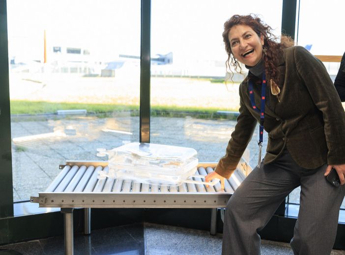 L'inaugurazione della mostra a Malpensa (credits Malapelle) L'inaugurazione della mostra a Malpensa (credits Malapelle)