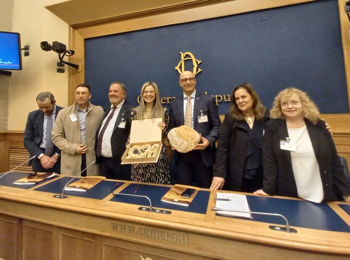 Agroalimentare, Gadda (Iv): «Necessarie regole per crescere» Agroalimentare, Gadda (Iv): «Necessarie regole per crescere»