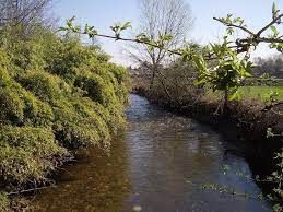 Censimento degli scarichi: Alfa e Cap perlustrano Olona e Lambro con i droni Censimento degli scarichi: Alfa e Cap perlustrano Olona e Lambro con i droni