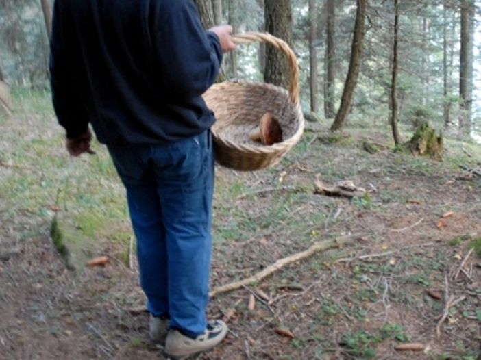 (foto d'archivio) (foto d'archivio)